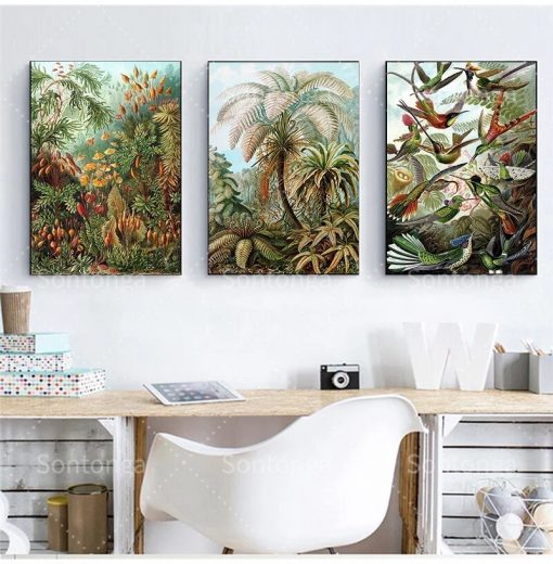 Biology Poster Palm Tree Print Retro Hummingbird Tropical Plant Art Set Canvas Painting Photograph Background Studio 1