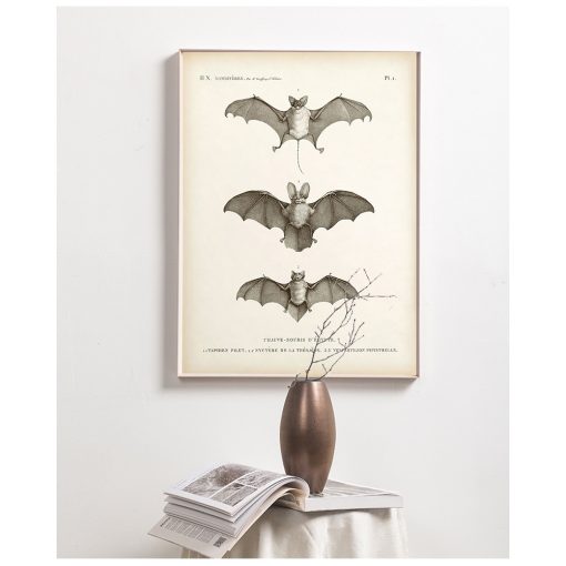 Art Canvas Painting Antique Bat Animal Poster Wall Picture for Living Room Home Decoration Vintage Bat 1