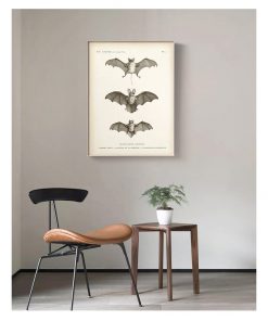 Art Canvas Painting Antique Bat Animal Poster Wall Picture for Living Room Home Decoration Vintage Bat 2