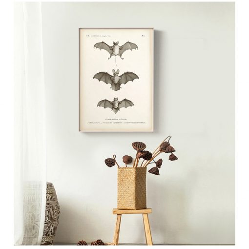 Art Canvas Painting Antique Bat Animal Poster Wall Picture for Living Room Home Decoration Vintage Bat 3