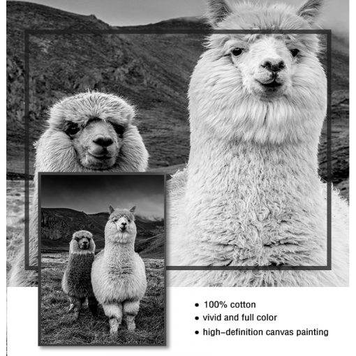 Picture Llama Black and White Wall Kids Room Decor Alpaca Poster Canvas Art Painting Animal Prints 4