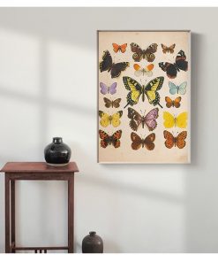 Print Insect Antique Illustration Wall Art Canvas Painting Picture for Living Room Home Decor Butterflies Vintage 4